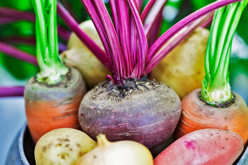 Livsmedelsverkets nya kostråd, till exempel att du bör äta 500 gram grönsaker om dagen, handlar bland annat om att sätta miljön i fokus. Foto: Shutterstock
